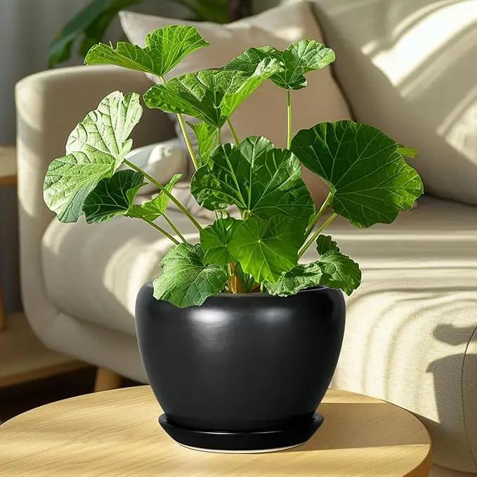 Ceramic Planter Pot - 8 Inch Plant Pot with Drainage Hole and Saucer Round Planter for Indoor Plants Modern Outdoor Flower Pot for House Balcony Black by GreenHaven Gardens