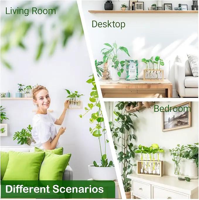 Ivolador Plant Propagation Station Terrariumin Wall Test Tube Vases Bud Tabletop Glass Wooden Stand with 5 Propagation Tubes for Propagating Hydroponic Plants Home Garden Wedding Decoration-Beige by GreenHaven Gardens