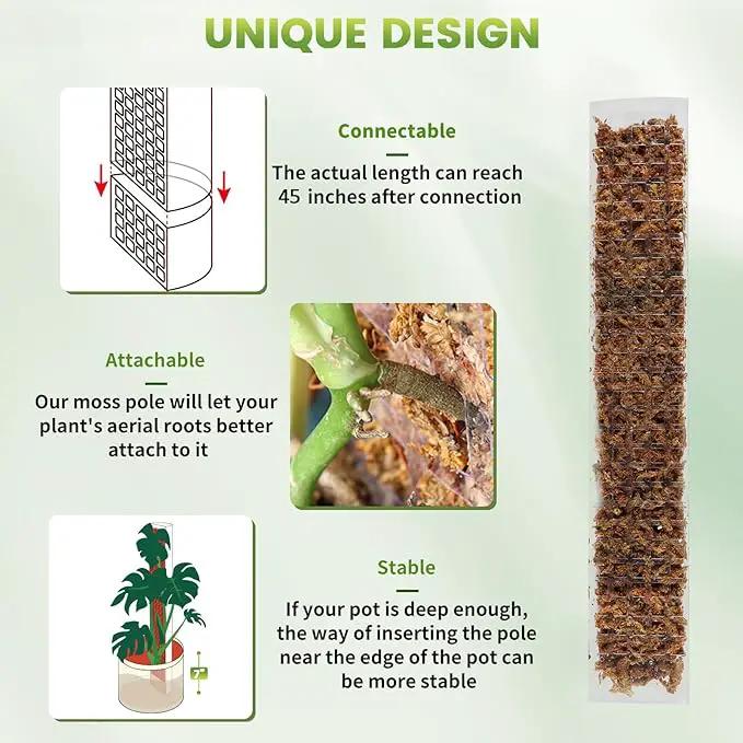 EOX 8 Pcs 24 Inch Plastic Moss Pole for Plants Monstera, Plant Poles for Climbing Plants, Plant Support for Indoor Plants Work with Sphagnum Moss, Garden Ties by GreenHaven Gardens