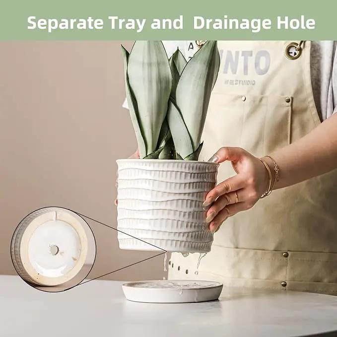 5.8 Inch Plant Pot: Ceramic Planter with Drainage Hole & Saucer - Cream White Flowerpot for Indoor & Outdoor Plants - with Separate Tray for Home & Office - Wave Embossed Design by GreenHaven Gardens