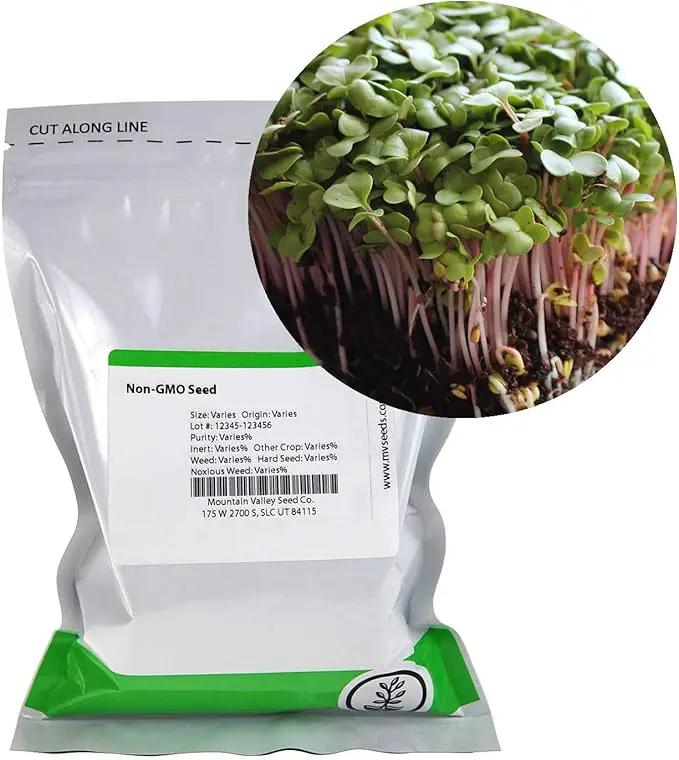 Radish Sprouting & Microgreens Seeds – Red Arrow Variety – 1 LB – Non-GMO, Heirloom – Fast-Growing, Spicy Radish Sprouts & Vibrant Micro Greens for Salads, Sandwiches, Smoothies & Indoor Gardening by GreenHaven Gardens