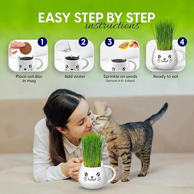 Organic Cat Grass Growing Kit - Promotes Natural Hairball Control and Digestive Wellness - Includes Organic Seed Mix, Nutrient-Rich Soil, and Stylish White Cat Planter by GreenHaven Gardens