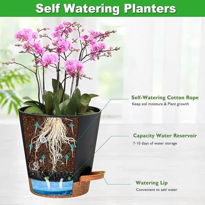Orchid Pots with Holes, 6 Inch Self Watering Orchid Pot 2 Pack Plastic Plant Pots for Orchid, Flower (Black+Brown) by GreenHaven Gardens