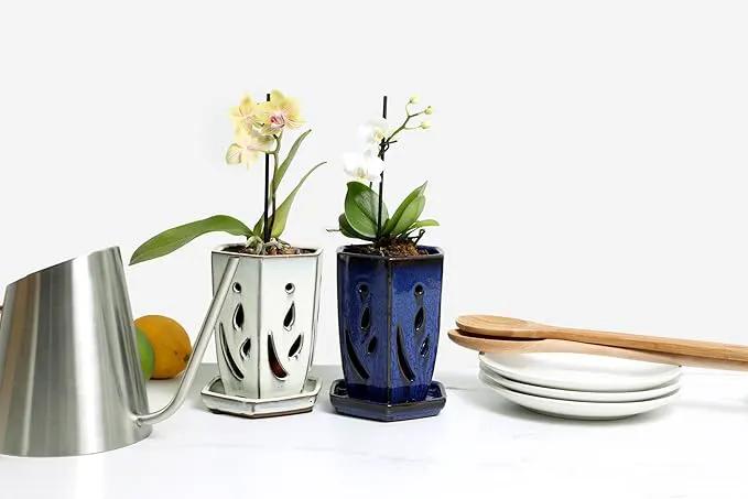 rePotme 4 x 6 inch Ceramic Orchid Pot (Cream Over Lavender) - Hexagon Orchid Pot with Holes by GreenHaven Gardens