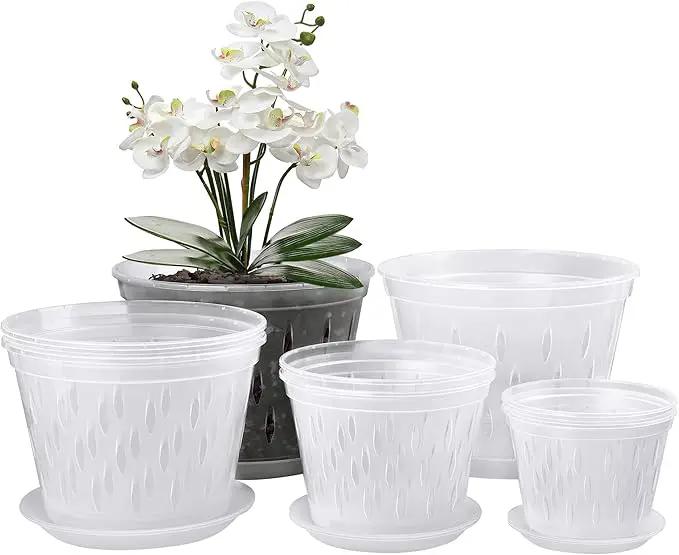 Orchid Plants- 2 Each of 4, 5, 6 and 7 inch- 8 Sets with Saucers, Orchid Pots with Holes and Clear Plastic Orchid Pots for Repotting by GreenHaven Gardens