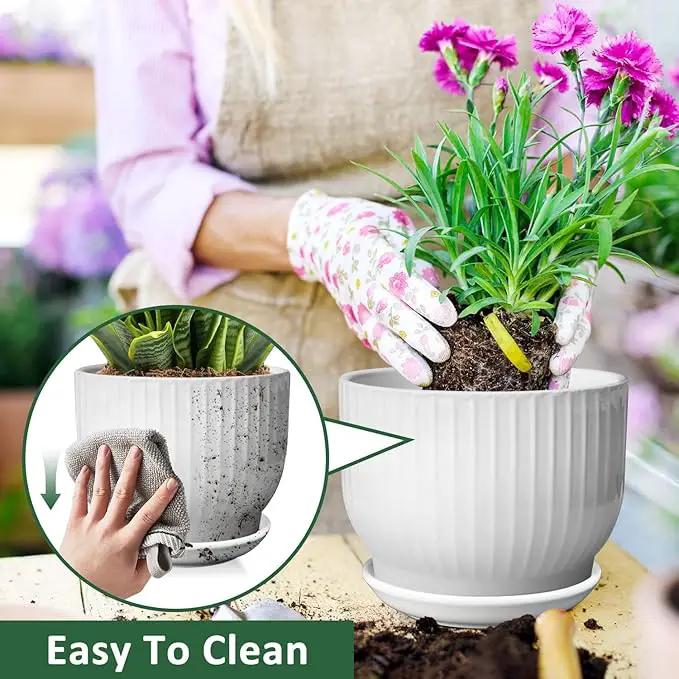 8 Inch Plant Pot,Ceramic Planter with Drainage and Saucer,Ceramic Pots for Plants,Indoor Plant pots,Ceramic Flower pots(Pure White, Plants NOT Included) by GreenHaven Gardens