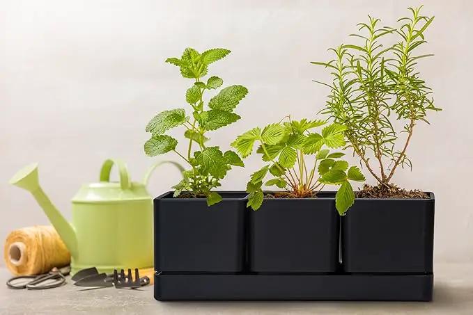 D'vine Dev Herb Garden Planter Set, Plastic Plant Pots with Drainage and Saucer, Indoor Succulent Cactus Vegetable Pot for Windowsill, Garden Balcony, Black, Set of 1, 76-V-B-1 by GreenHaven Gardens