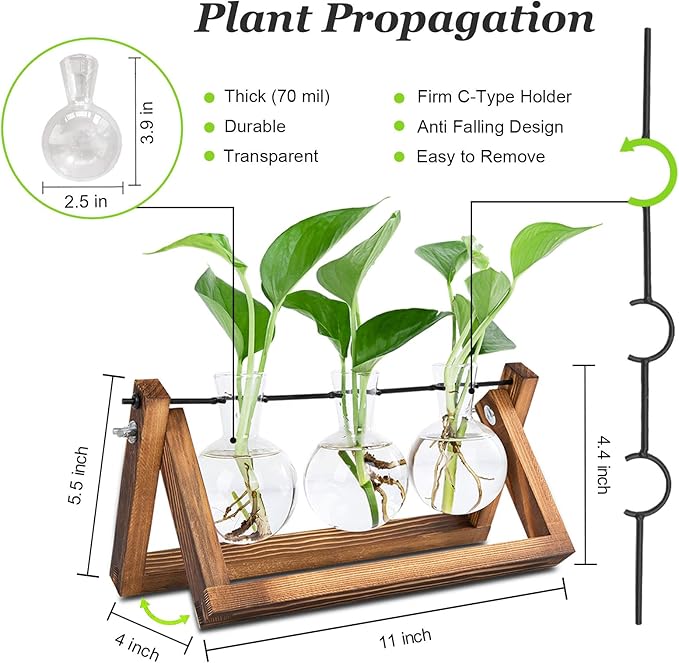 Plant Propagation Station, Plant Terrarium with Wooden Stand, Unique Gardening Birthday Gifts for Women Plants Lovers, Home Office Garden Decor Planter - 3 Bulb Glass Vases by GreenHaven Gardens