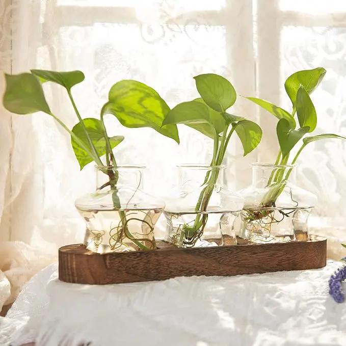 XXXFLOWER Plant Propagation Station with Wooden Stand，Air Plant Terrarium Starter Kits Star Vases for Flowers Plant Cutting Rooting Pots Indoor Hydroponic Glass Planter for Plant Lovers,3 Jars by GreenHaven Gardens
