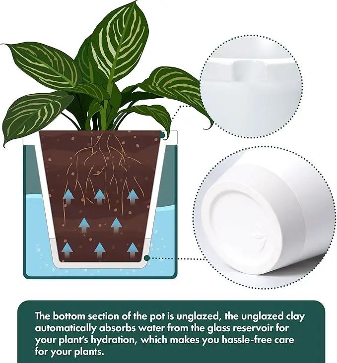 D'vine Dev 10 Inch Design Self Watering Planter for Indoor Plants, White Terracotta Pot with Teal Cylinder Glass Cup, 37-X-D-5 by GreenHaven Gardens