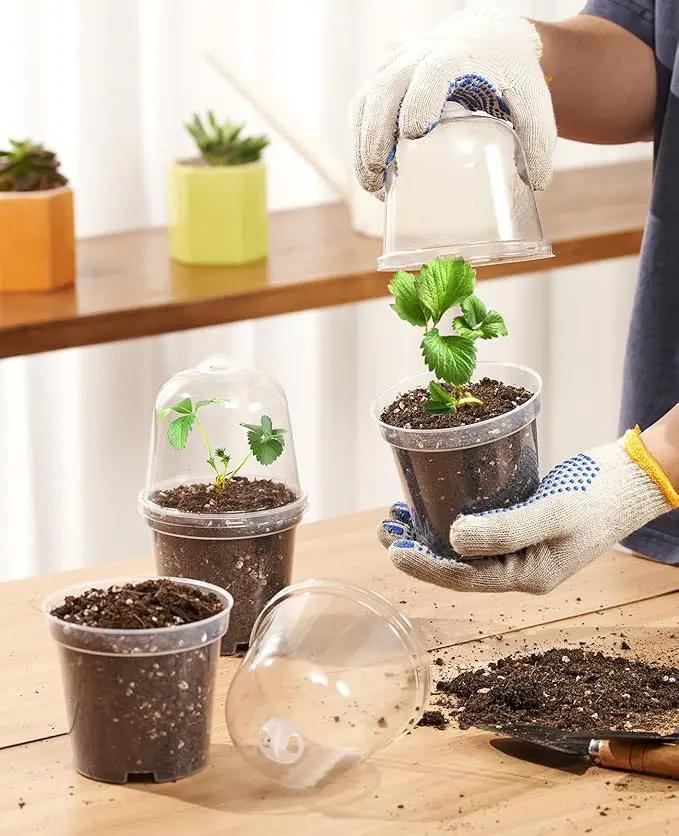 homenote Clear Nursery Pots for Plants,5 Inch Plant Pot for Planting with Humidity Domes Plastic Seedling with Drainage Holes Seed Starter Flower High Transparency (15 Pack) by GreenHaven Gardens