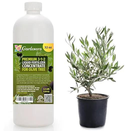 Premium Liquid Olive Tree Plant Fertilizer - 3-1-2 Concentrate for Indoor Plants and Flowers by Gardenera | Organic Plant Food for Olive Trees - 32oz by GreenHaven Gardens