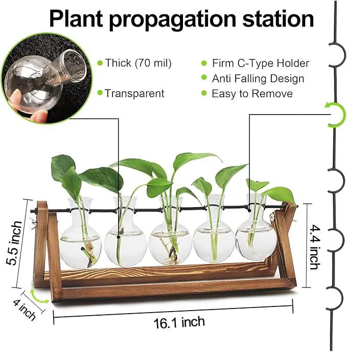 Plant Propagation Station, Propagation Vases for Plants, Unique Gardening Birthday Gifts for Women Plant Lovers Mom Best Friend - 5 Bulb Glass Vases by GreenHaven Gardens