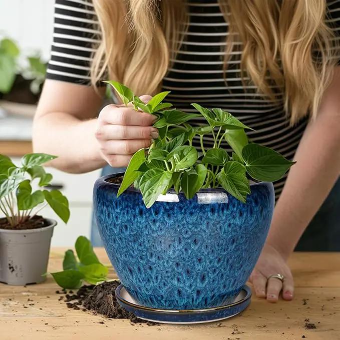 10 Inch Ceramic Planter Pot, Ceramic Plant Pot for Indoor Outdoor Plants, Large Flower Pot with Drainage Hole and Saucer, Blue by GreenHaven Gardens