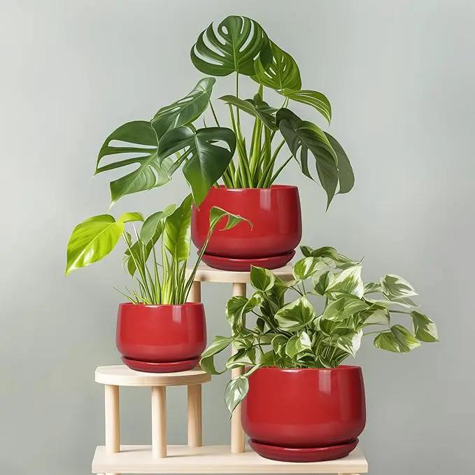 G EPGardening Ceramic Planter 7 Inch - Flower Pots for Indoor Plants, Round Planter with Drainage and Ceramic Tray, Modern Plant Pot, Bathroom Decor, Teacher Gifts, Red by GreenHaven Gardens