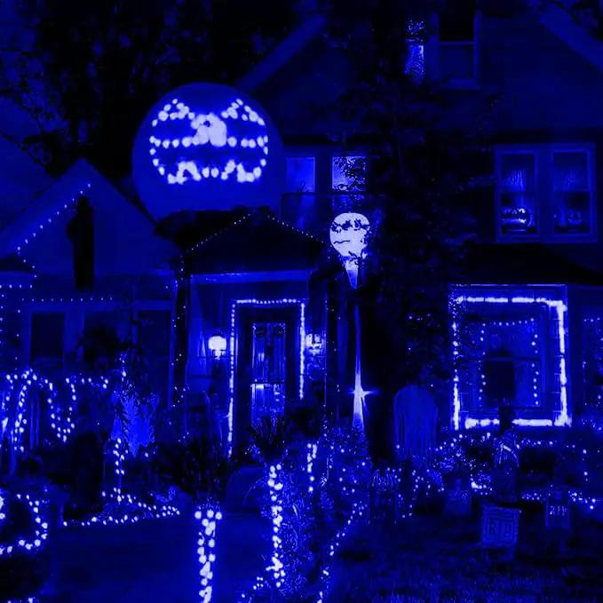 HISHINY LED Blue Christmas Net Lights Outdoor Christmas Decorations 5ftx5ft 100LED Green Wire,Connectable Outdoor Indoor Yard Mesh Shrub Net Lights String for Halloween Chritmas Party,Tree,Bush(Blue) by GreenHaven Gardens