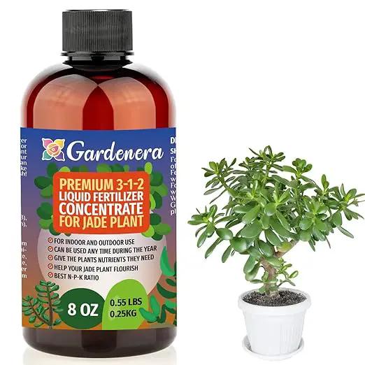 Premium Liquid Jade Fertilizer - 3-1-2 Concentrate for Indoor Plants and Flowers - Organic Plant Food - 8oz by GreenHaven Gardens