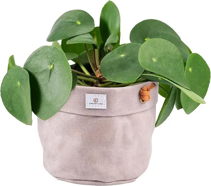 Large Waxed Canvas Handmade Hanging Planter for Indoor/Outdoor Plants, Hanging Basket Plant Holder Stone Gray by GreenHaven Gardens