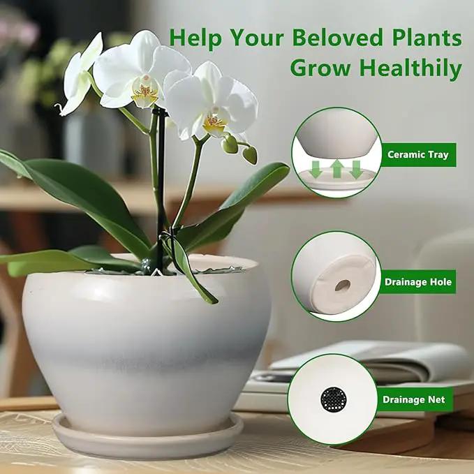 10 Inch Ceramic Planter Pot - Large Plant Pot with Drainage Hole and Saucer Round Flower Pot for Indoor Plants, White by GreenHaven Gardens