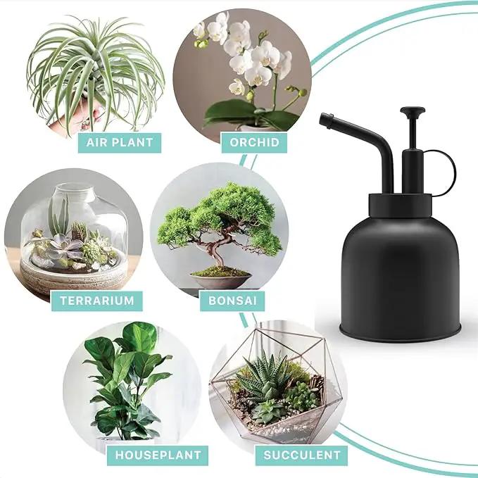 Plant Mister Spray Bottle Stainless Steel Watering Can for Indoor Plants Bonsai Sprayer Succulent Spritzer Houseplant Atomizer Terrarium Mister Modern Garden Tools 10oz/300ml Black by GreenHaven Gardens