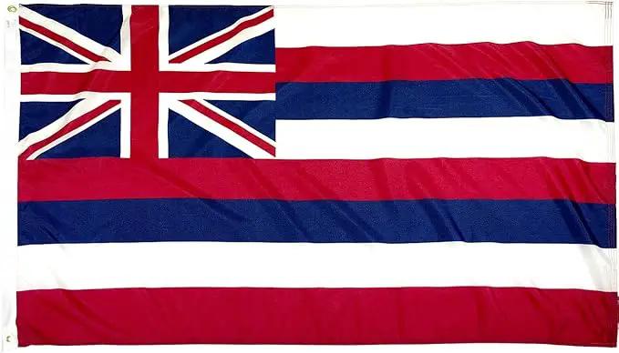 FlagSource Hawaii Nylon State Flag, Made in the USA, 4x6' by GreenHaven Gardens