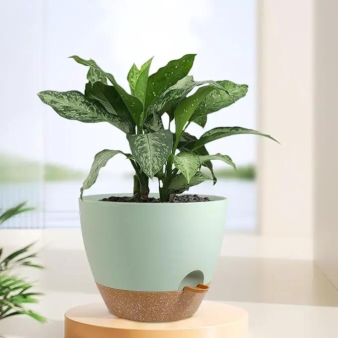 12 inch Large Self Watering Pots, Plant Pots with Mesh Drainage Holes for Indoor Outdoor Plants, Plastic Planters with Deep Reservoir for Garden House Flower Plants, Green with Brown by GreenHaven Gardens