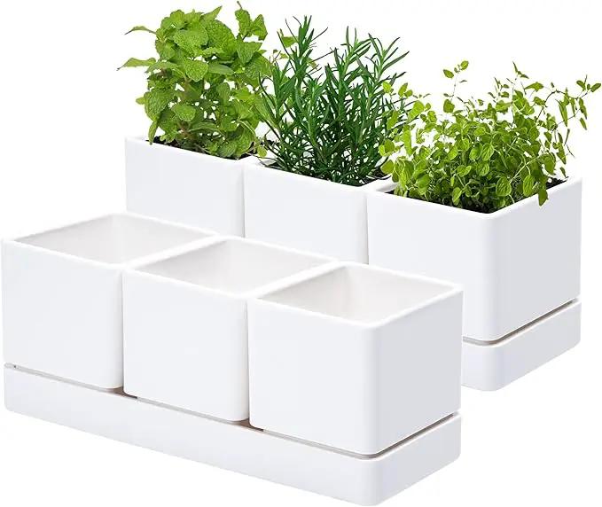 D'vine Dev Herb Garden Planter Set, Plastic Plant Pots with Drainage and Saucer, Indoor Succulent Cactus Vegetable Pot for Windowsill, Garden Balcony, White, Set of 2, 76-V-A-2 by GreenHaven Gardens