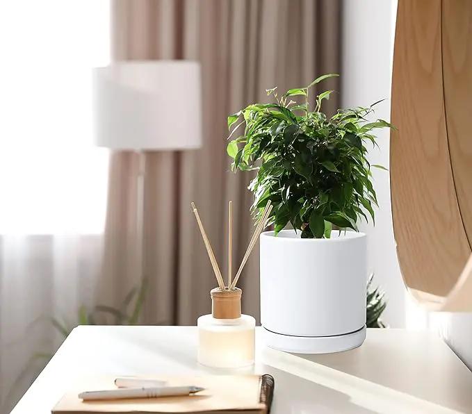 D'vine Dev 6 Inch & 8 Inch Ceramic Planter Pots for Plants with Drainage Hole and Saucer, Medium Plant Pots Set, White, 94-G-M-1 by GreenHaven Gardens