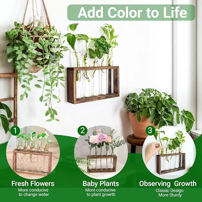 Ivolador Plant Propagation Station Terrariumin Wall Test Tube Vases Bud Tabletop Glass Wooden Stand with 5 Propagation Tubes for Propagating Hydroponic Plants Home Garden Wedding Decoration-Brown by GreenHaven Gardens