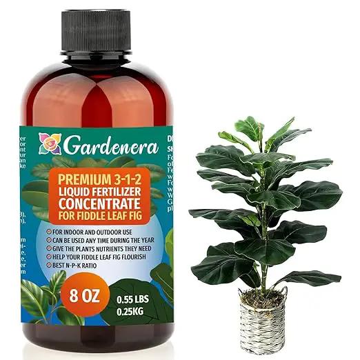 Premium Liquid Fiddle Leaf FIG Plant Fertilizer - 3-1-2 Concentrate for Indoor Plants and Flowers by Gardenera | Organic Plant Food for Fiddle Leaf Fig - 8oz by GreenHaven Gardens