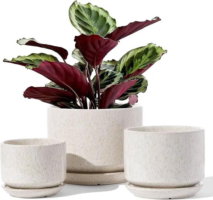LE TAUCI Ceramic Plant Pots, 4.3+5.3+6.8 inch, Set of 3, Planters with Drainage Hole and Saucer, Indoor Flower Pot with Hole Mesh Pad, Gifts for Mom, Reactive Glaze Beige by GreenHaven Gardens