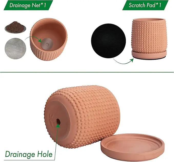 D'vine Dev 4 Inch Terracotta Beaded Planter Pot - Flower Pot with Drainage Holes and Saucers for Indoor Succulent Plants or Flowers,Terracotta, 27-C-Z-7 by GreenHaven Gardens
