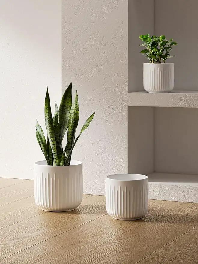 LE TAUCI Ceramic Planters, Set of 3 Plant Pots for Indoor Plants, 8.3+6.9+5.7 inch Flower Pots with Drainage Holes, Medium Cylinder Planters Pot for Indoor House Plants, White by GreenHaven Gardens