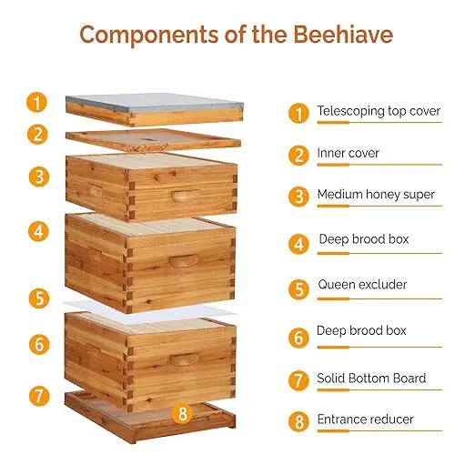 VINGLI 10-Frame Bee Hive, Wax Coated Beehive Starter Kit with Frames & Beeswax Coated Foundation Sheets (3 Layer) by GreenHaven Gardens