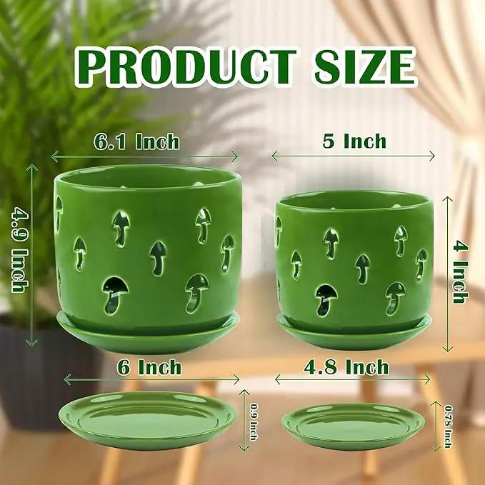 KERUITA Orchid Pots with Holes, 6 inch + 5 inch Orchid Planters with Dancing Mushroom Shaped Holes, Enhanced Drainage and Ventilation,Green Flower Pots for Indoor/Outdoor Plants for Repotting by GreenHaven Gardens