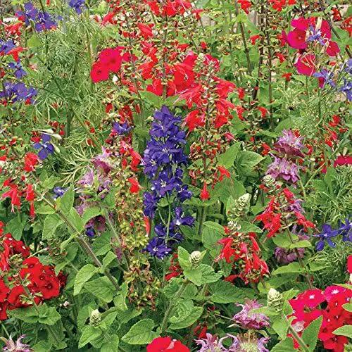 Park Seed Grow Your Own Vibrant Wildflower Garden Mixture, Perfect for Bees, Butterflies, and Hummingbirds, Hummingbird Mix, Pack of 1500 by GreenHaven Gardens