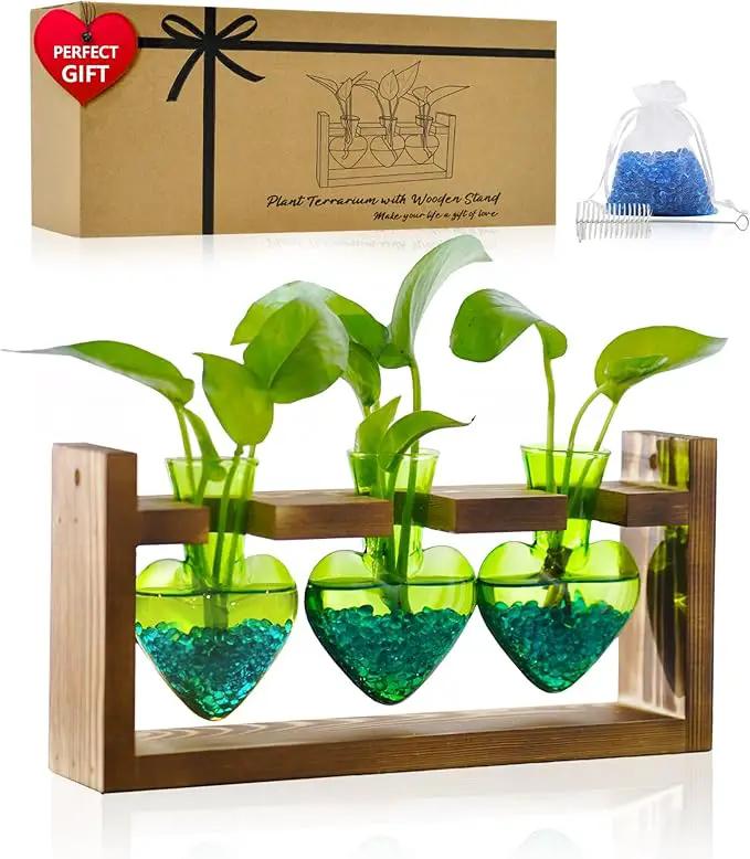 Nacome Plant Terrarium for Office Decor: Birthday Gifts for Plant Lovers Women Mom Wife - Wooden Stand Tabletop Planter 3 Bulb Glass Vase Heart Shaped for Hydroponics Indoor Home(Green) by GreenHaven Gardens