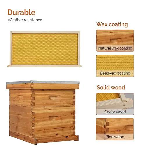 VINGLI 10 Frames Beehive, Complete Beehive Kit Includes 1 Deep Boxes, 1 Medium Box, Frames and Waxed Foundations, for Yard, Field, Bee Farm (2 Layer) by GreenHaven Gardens
