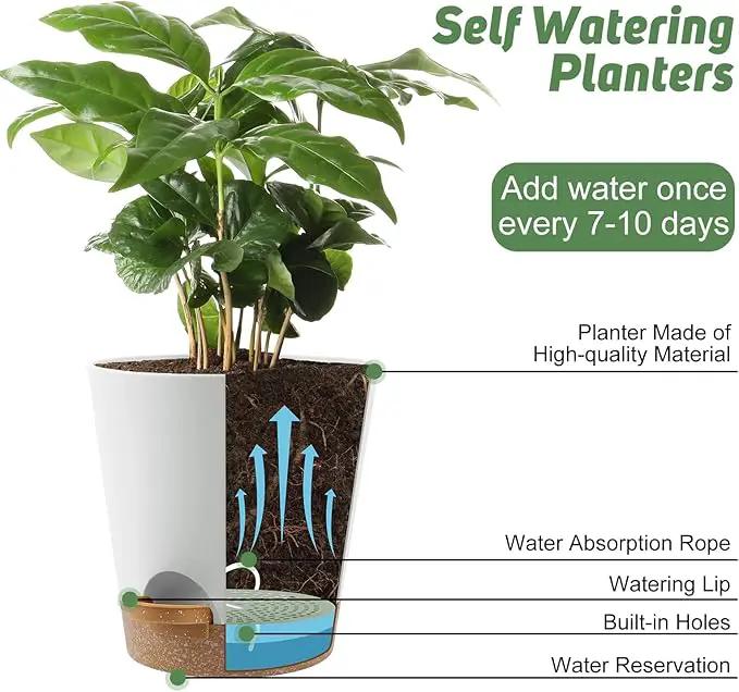 8-Inch Plant Pots, Self-Watering Planters with Drainage Holes & Saucers for Indoor and Outdoor Plants (2-Pack, White) by GreenHaven Gardens