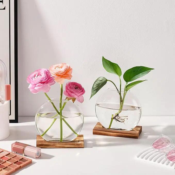 2 Pack Plant Propagation Station with Wooden Base Glass Terrariums for Indoor Plants Decorative Round Vases for Flowers Hydroponic Planter for Home Office Decor by GreenHaven Gardens