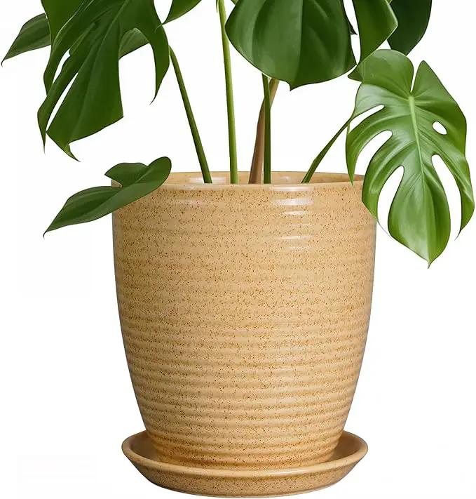 Pot for Plants 8 Inch - Ceramic Planter Indoor Plant Pot with Drainage Hole and Saucer Planter for Outdoor Plants Round Flower Pot for Home Patio Garden Office Decor Yellow by GreenHaven Gardens