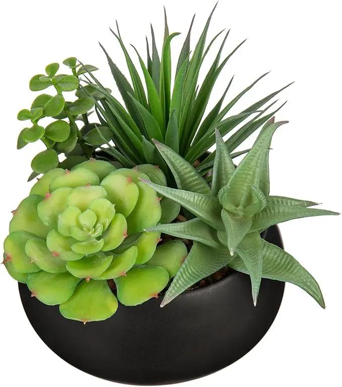 Fake Plants Artificial Succulents in Pots Faux Succulent Arrangement Potted Plant with Black Ceramic Pot for Home Decor Modern Office Desk Bathroom Shelf Living Room Indoor & Outdoor Decoration by GreenHaven Gardens