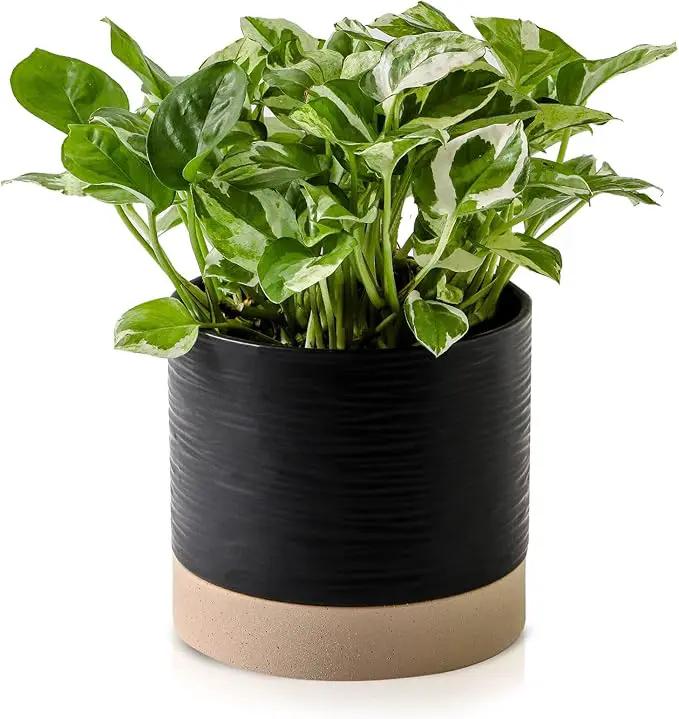 Nihow Ceramic Plant Pot: 6 Inch Planter with Drainage Hole & Saucer for Indoor & Outdoor Plants - Cylinder Round Flower Pot for Succulent/Herbs/Violets - Black & Brown by GreenHaven Gardens