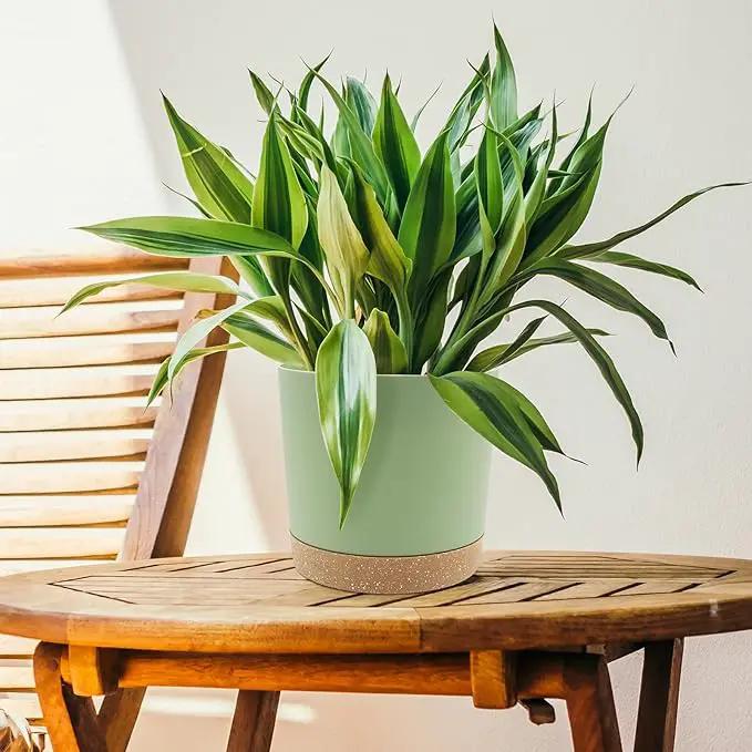 QCQHDU 6.5 inch Plant Pot, 2 Pack Planters for Indoor Plants with Drainage Holes & Saucer, Outdoor Flower Pots Home Garden Modern Decor by GreenHaven Gardens