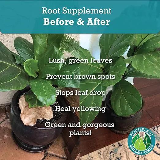 Root Supplement, Liquid Root Stimulator - for Fiddle Leaf Fig & Indoor Plants - Propagation Promoter, Root Rot Treatment - Food for Healthy Roots, Stems, & Leaves - 8 Oz by GreenHaven Gardens