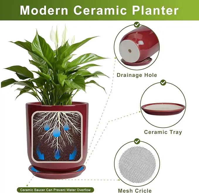 Ceramic Pot for Plants - 8 Inch Plant Pot Indoor with Drainage Hole and Saucer Cylinder Flower Pot for Indoor Outdoor Plants Home Patio Office Decor Red by GreenHaven Gardens