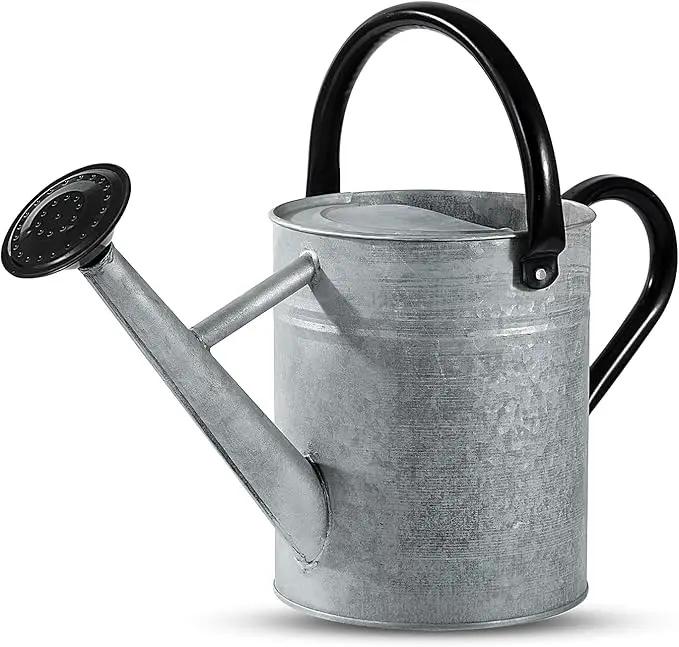 1 Gallon Watering Can for Plants, Watering Cans for Indoor&Outdoor Gardening, Galvanized Steel Watering Pot with Removable Spout, Metal Water Can with Ergonomic Movable Handle(Rustic Silver) by GreenHaven Gardens