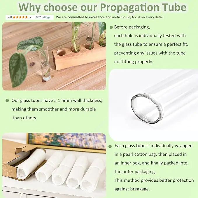 KAXYEW Plant Propagation Station, Plants Propagation Tubes, Gifts for Plant Lovers, Plants Cutting Holder Test Tube Vase Office Desk Garden Décor Gift for Her Mom Women Hydroponic Vase Gift Box by GreenHaven Gardens
