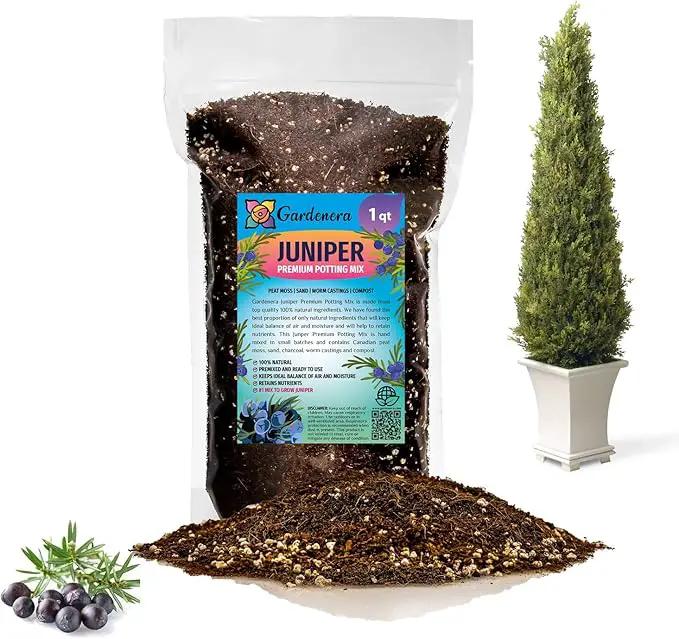 Premium Juniper Potting Soil Mix - Perfect Balance of Nutrients, Drainage, and Aeration for Healthy Juniper Trees - 1 Quart by GreenHaven Gardens