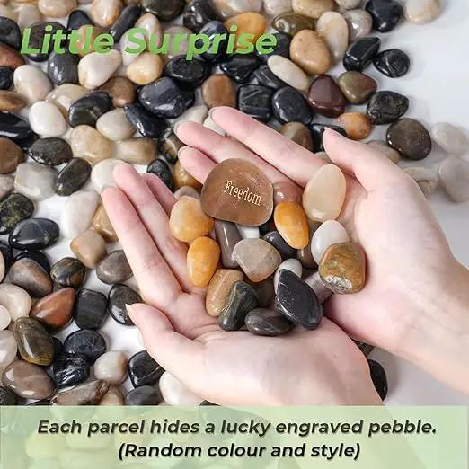 SIDONG 10 LB Mixed River Rocks, 0.3-0.5 Inches High Polished Pebbles for Indoor Plants, Aquarium Rocks Used in Fish Tank, Decorative Stones for Plants, Vases, Home Décor, Crafting, Garden Landscaping by GreenHaven Gardens